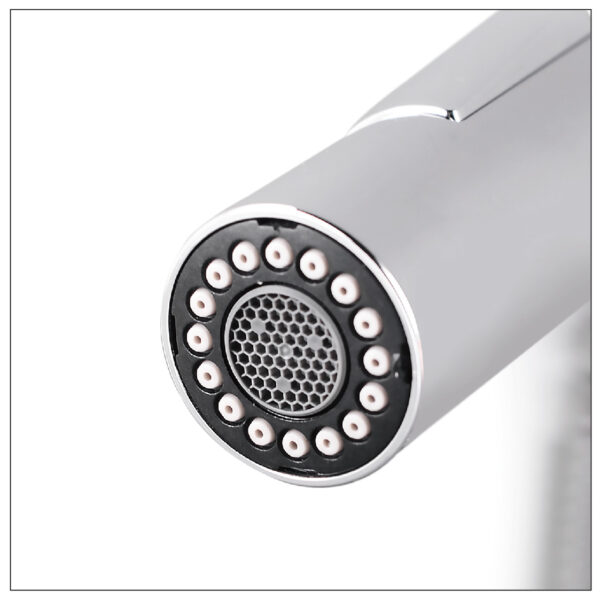 2 Spray Pattern Spout Spring Hose 3 Way Mixer Chrome + Veggie Sprayer